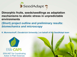Dimorphic fruits, seeds/seedlings as adaptation mechanisms to