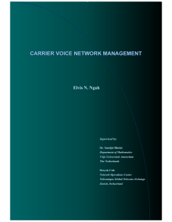 carrier voice network management