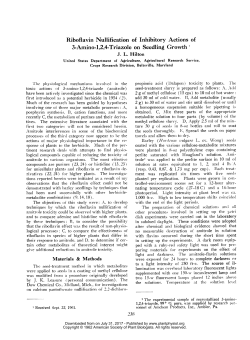 Riboflavin Nullification of Inhibitory Actions of 3