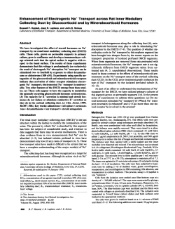 Enhancement of Electrogenic Na+ Transport across Rat Inner