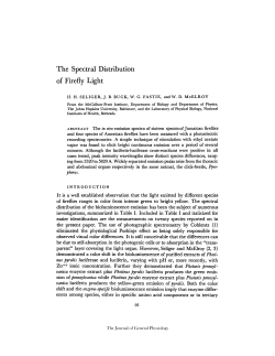 The Spectral Distribution of Firefly Light