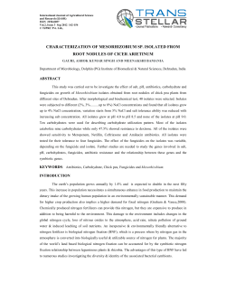 characterization of mesorhizobium sp. isolated from root nodules of