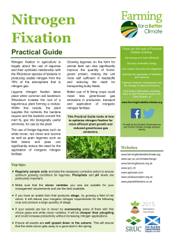 Nitrogen Fixation