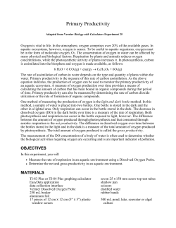 Primary Productivity Handout