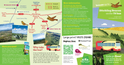 kids go free! - Visit Brighton