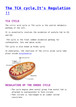 tca cycle - Biology Notes Help