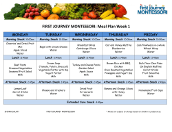 FIRST JOURNEY MONTESSORI: Meal Plan Week 1