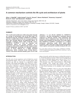 A common mechanism controls the life cycle and architecture of plants