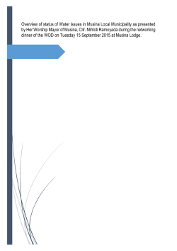 Overview of status of Water issues in Musina Local Municipality as