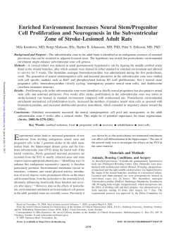 Enriched Environment Increases Neural Stem/Progenitor Cell