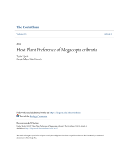 Host-Plant Preference of Megacopta cribraria