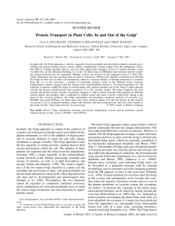 Protein Transport in Plant Cells: In and Out of the