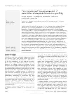 Three sympatrically occurring species of Metarhizium show plant