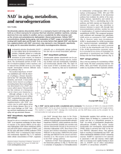NAD in aging, metabolism, and neurodegeneration