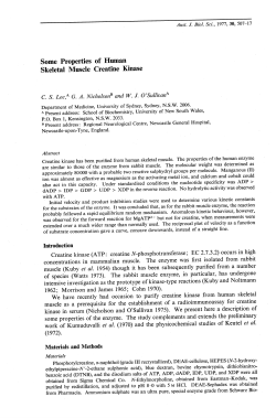 Some Properties of Human Skeletal Muscle