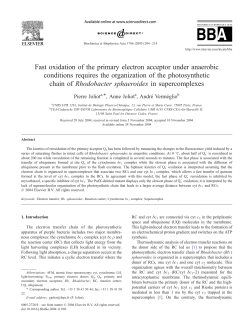 Fast oxidation of the primary electron acceptor under anaerobic