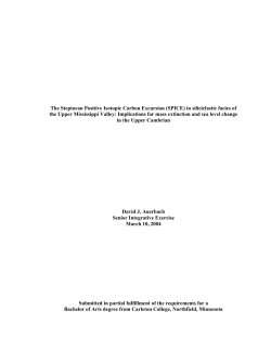 The Steptoean Positive Isotopic Carbon
