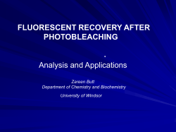 fluorescent recovery after photobleaching
