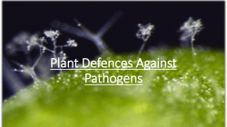 Plant-Defences-Against