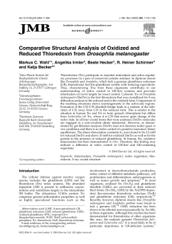 Comparative Structural Analysis of Oxidized and Reduced