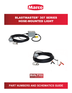 blastmaster&reg; 307 series hose-mounted light