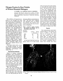 Nitrogen Fixation by Root Nodules of Western Mountain Mahogany
