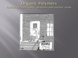 Organic Polymers