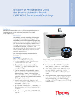 Isolation of Mitochondria - Thermo Fisher Scientific