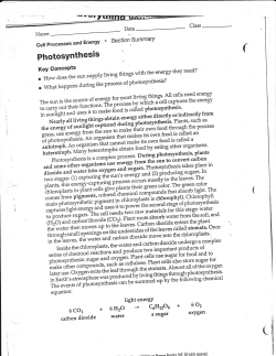 Photosynthesis-Cell processes and Energy