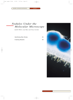 Nodules Under the Molecular Microscope