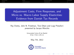 Adjustment Costs, Firm Responses, and Micro vs. Macro