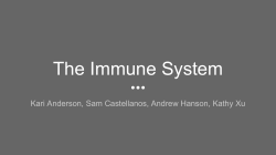 The Immune System - Mercer Island School District