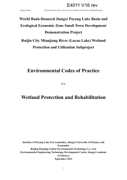 DOC - World bank documents
