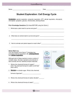 Cell Energy Cycle 5 Cell Energy Cycle Gizmo