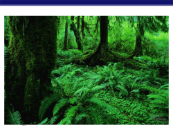 AP Biology 2007-2008 AP Biology 2007