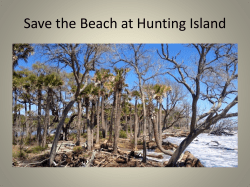 Save the beach at Hunting Island