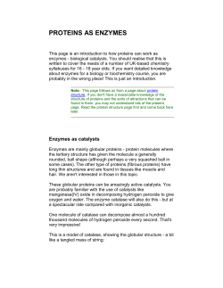 proteins and enzymes