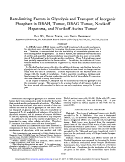 Rate-limiting Factors in Glycolysis and Transport of Inorganic