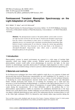 Femtosecond Transient Absorption Spectroscopy on the Light