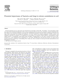 Potential importance of bacteria and fungi in nitrate assimilation in soil