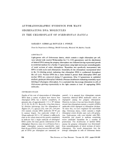 autoradiographic evidence for many segregating dna molecules in