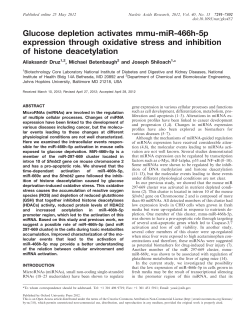 Glucose depletion activates mmu-miR-466h