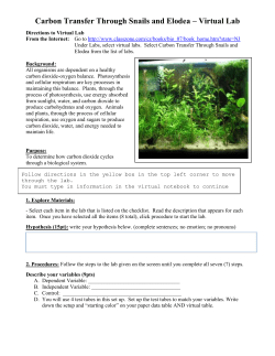 Carbon Transfer Through Snails and Elodea * Virtual