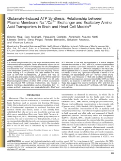 Glutamate-Induced ATP Synthesis