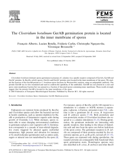 The Clostridium botulinum GerAB germination protein is located in