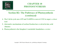 The Pathways of Photosynthesis