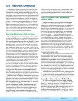 Section 12.2 - Probes for Mitochondria