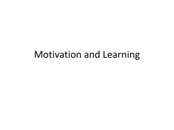 Motivation and Learning