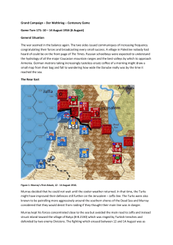 Grand Campaign &ndash; Der Weltkrieg &ndash; Centenary Game Game Turn