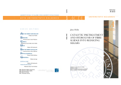 Catalytic pretreatment and hydrolysis of fibre sludge into reducing